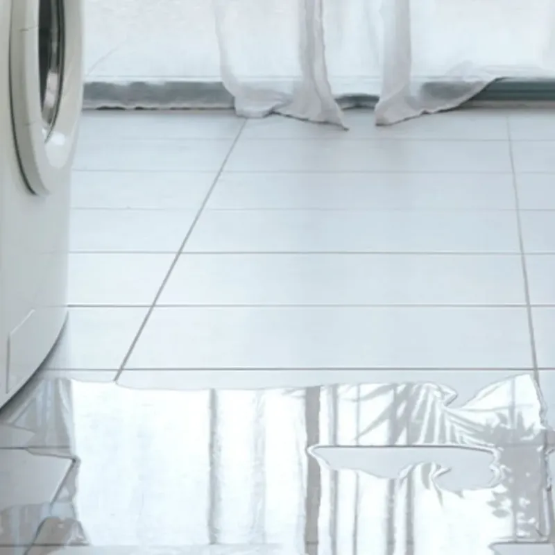 Appliance Leak Cleanup in Clare, MI