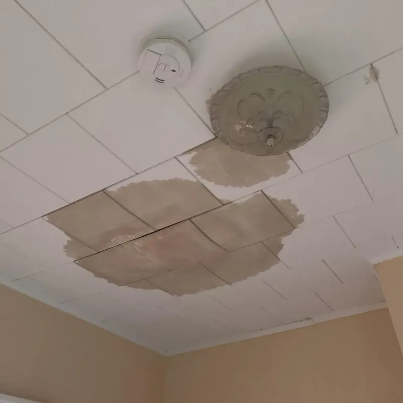 Ceiling Water Damage Repair in Clare, MI