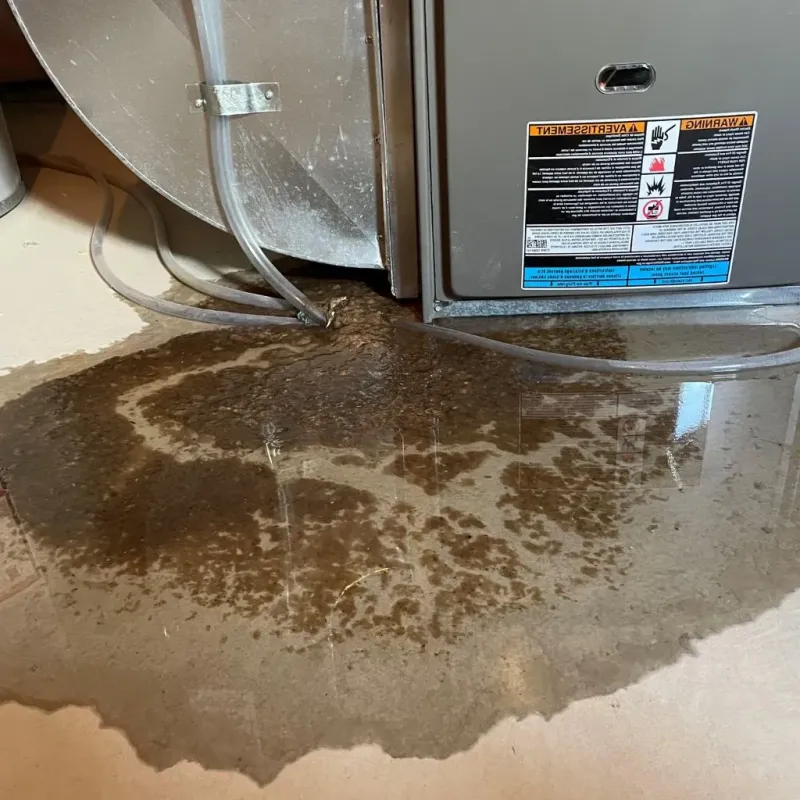 Pipe Burst and Leak Restoration in Clare, MI