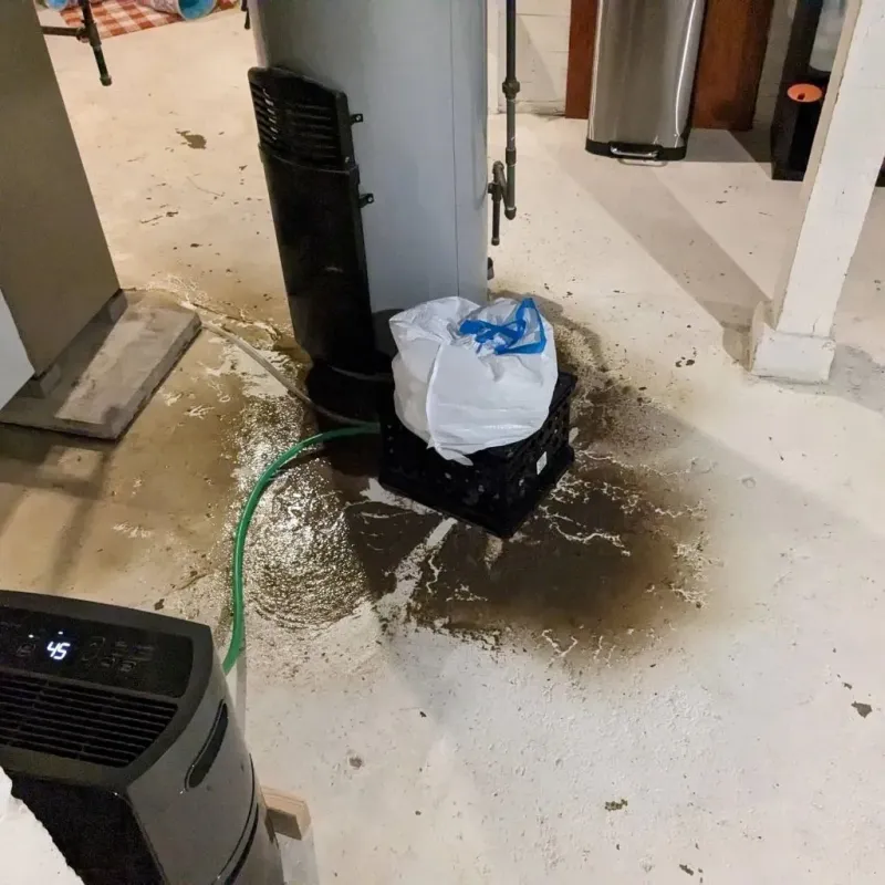 Sewage Backup Cleanup Service in Clare, MI